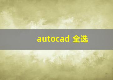 autocad 全选